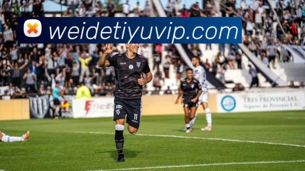 伟德体育平台生态图