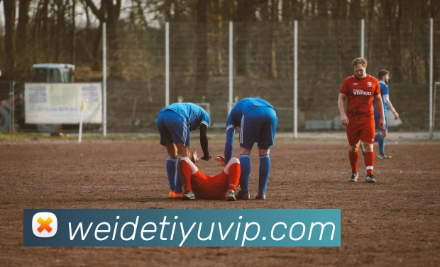 伟德体育全站App